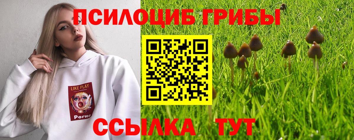 где купить наркоту  Галлюциногенные грибы Magic Shrooms  Вход с VPN  Уварово 