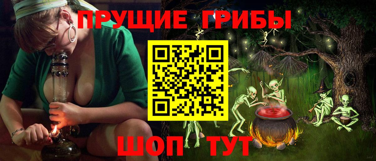 Псилоцибиновые грибы Psilocybe Уварово
